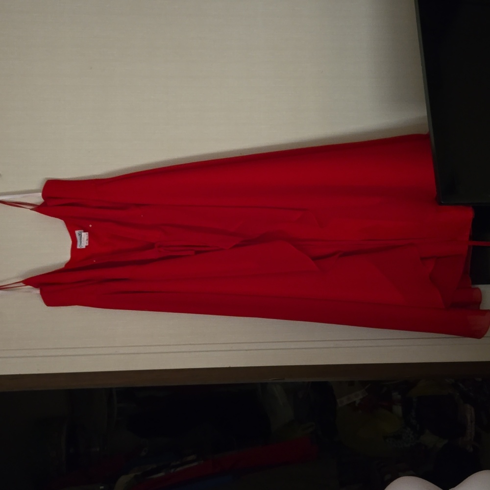 Christina Wu Celebration Size 22 red bridesmaid dress